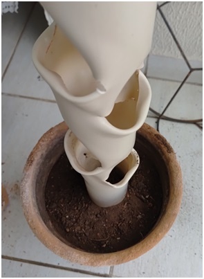 Preencha com terra vegetal terra até quase a borda do vaso e aperte levemente.