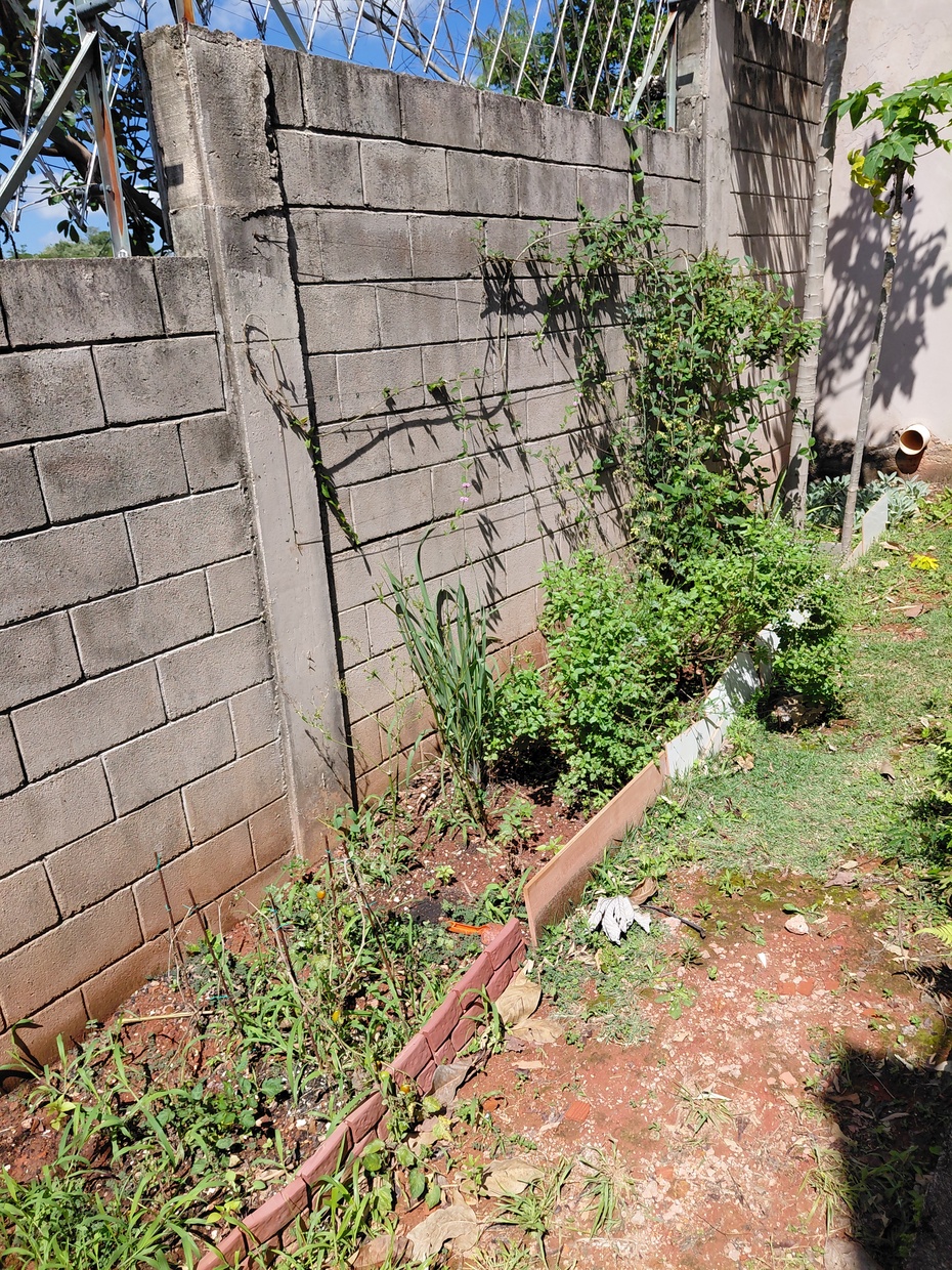Utilizar a água para regar sua horta.