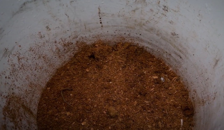 No fundo do andar superior, coloque um punhado generoso de serragem seca ou papelão triturado. Essa cama absorve umidade e evita lama e cheiro.