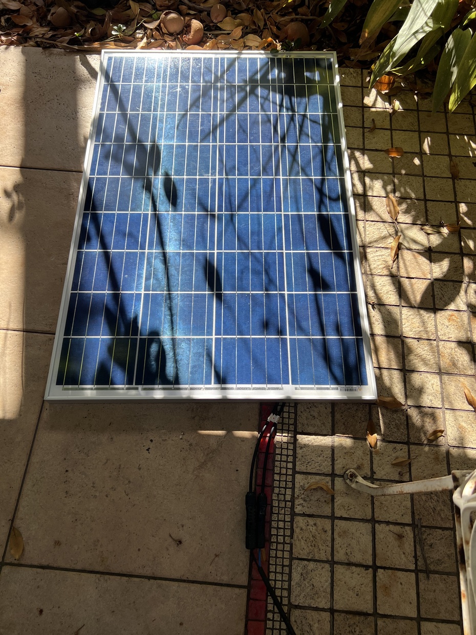 Procure um local que permaneça iluminado a maior parte do dia