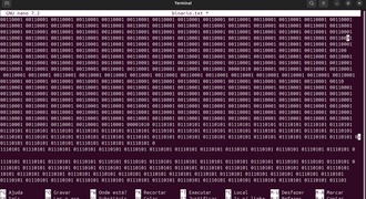 Script tradutor codigo binario!