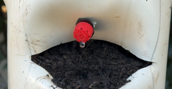 Faça um teste de irrigação: Verifique se há vazamentos e ajuste o fluxo de cada gotejador para um leve gotejamento.