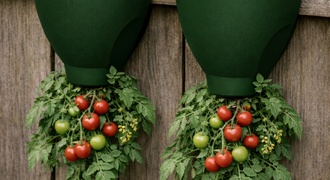 Vaso 3d para plantar tomate invertido