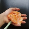 Flores de papel lindas e perfumadas